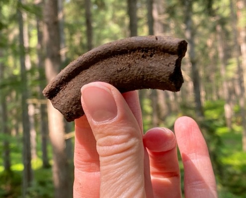 Ausgrabung16 (640x427)