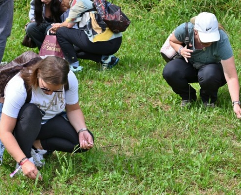 DSC_9343 (1280x855) (640x428)