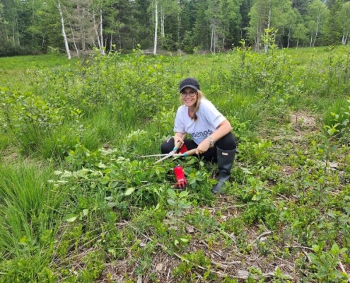 20250611_125325 (640x480)