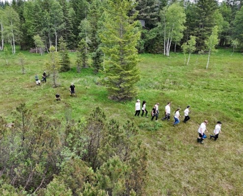 DJI_20250611135517_0169_D (640x480)