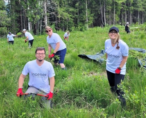 IMG-20250611-WA0174 (640x427)