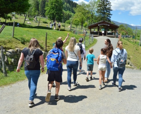 DSC_0080 (640x426)