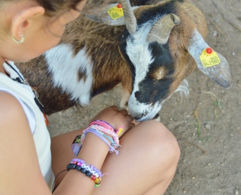 DSC_0098 (640x426)