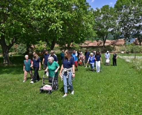 DSC_7521 (640x427)