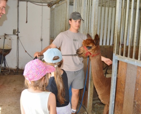 DSC_0098 (640x426)