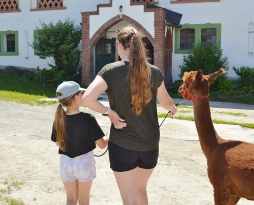 DSC_0108 (640x426)