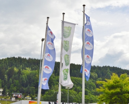 DSC_0118 (640x425)
