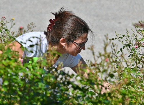 DSC_7808 (640x360)