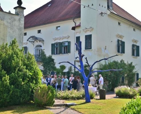 DSC_0892 (640x427)